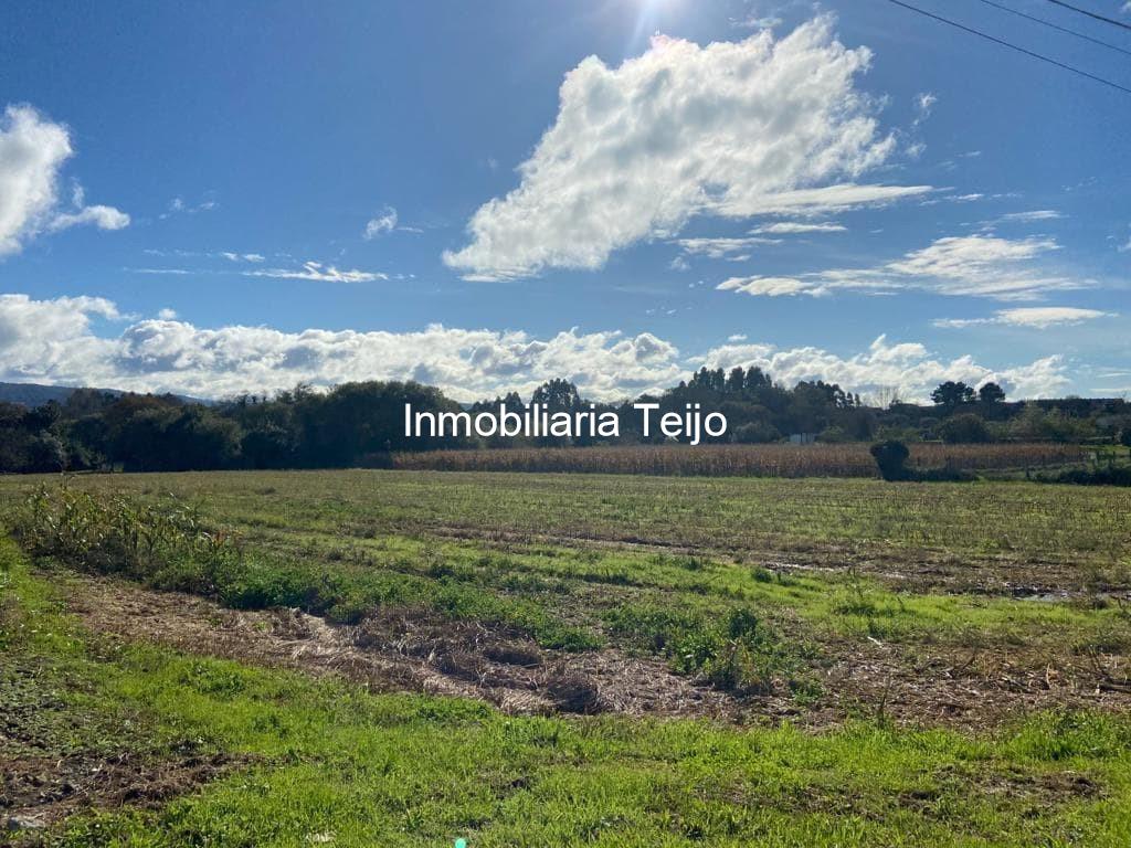 Foto 4 SE VENDE SOLAR EN SANTA CECILIA