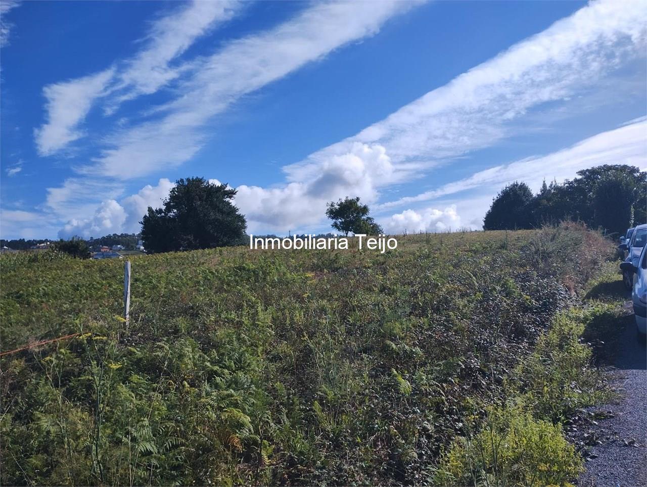 Foto 5 SE VENDE SOLAR EN VALDOVIÑO