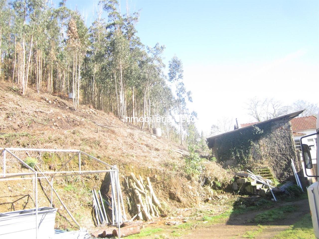 Foto 14 SE VENDE TERRENO CON CASA EN SAN SADURNIÑO