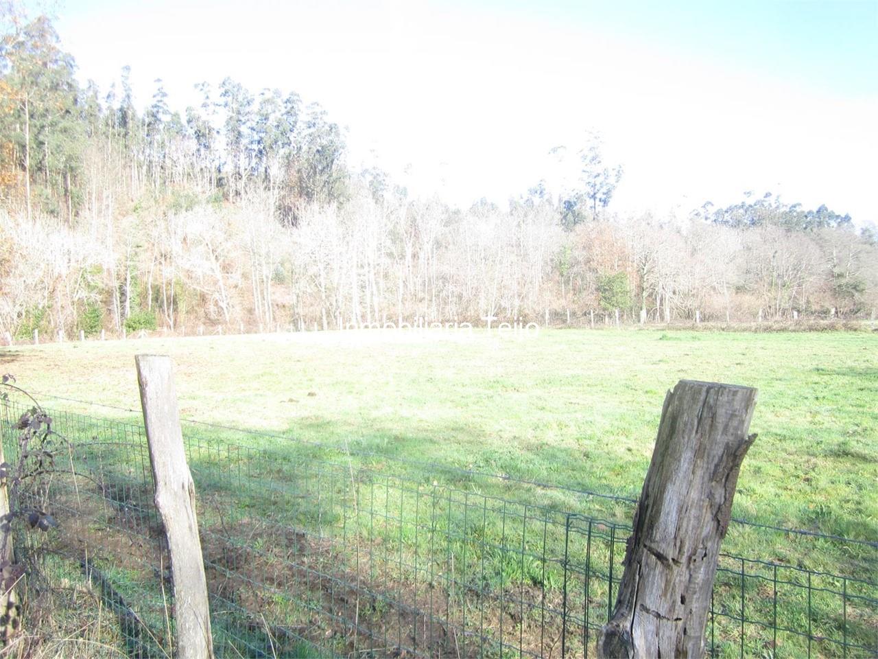 Foto 2 SE VENDE TERRENO CON CASA EN SAN SADURNIÑO