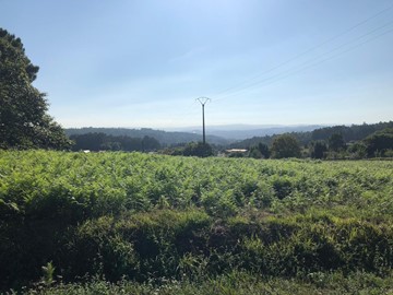 SE VENDE TERRENO EDIFICABLE EN BEMANTES - Miño