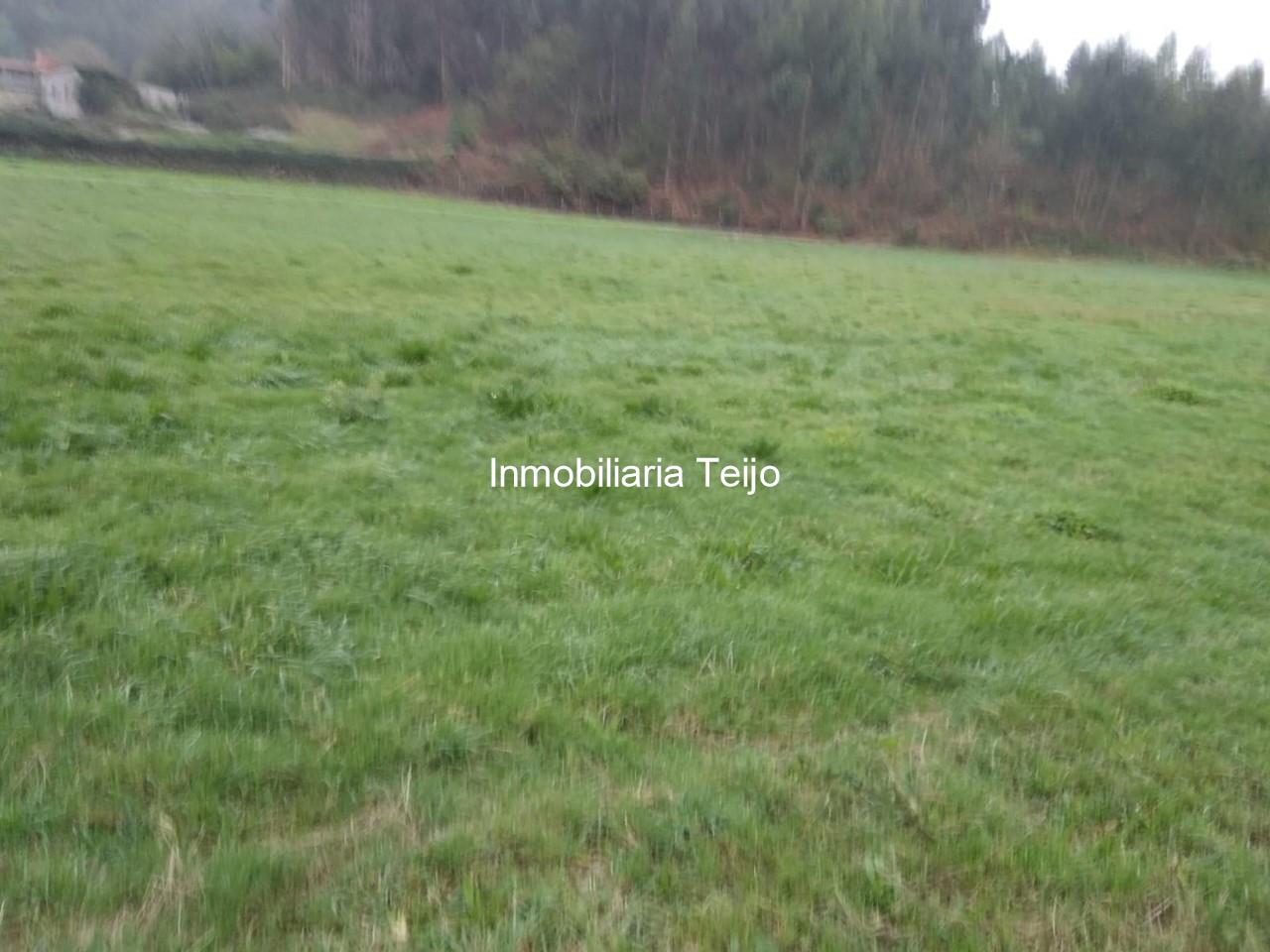 Foto 4 SE VENDE TERRENO EDIFICABLE EN ESMELLE