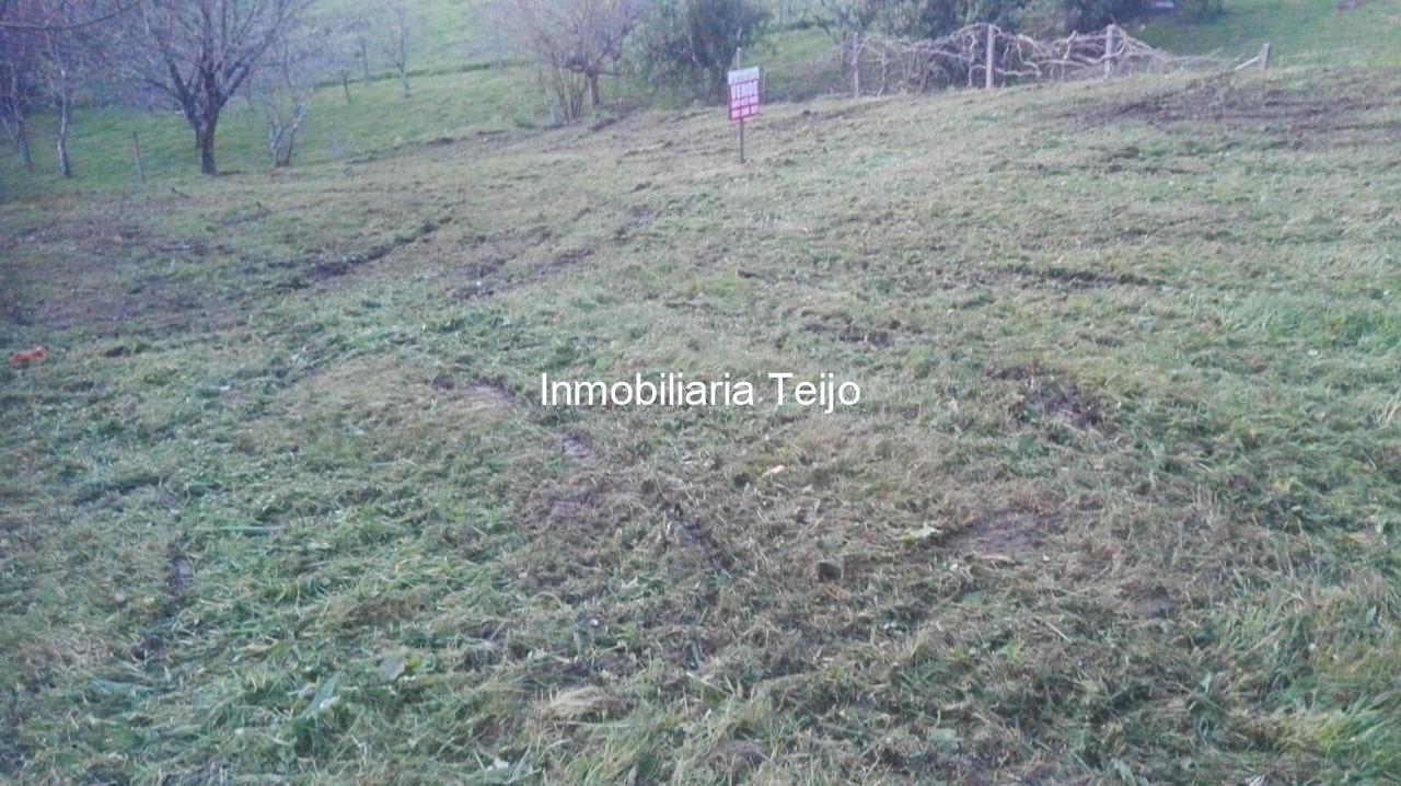 Foto 2 SE VENDE TERRENO EN ANCA