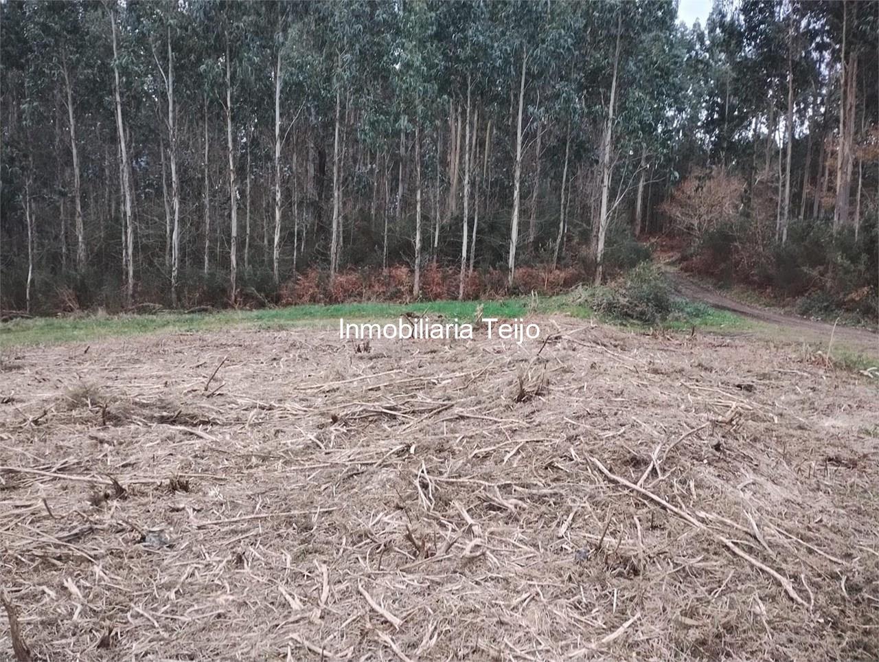 Foto 1 SE VENDE TERRENO EN ANCA