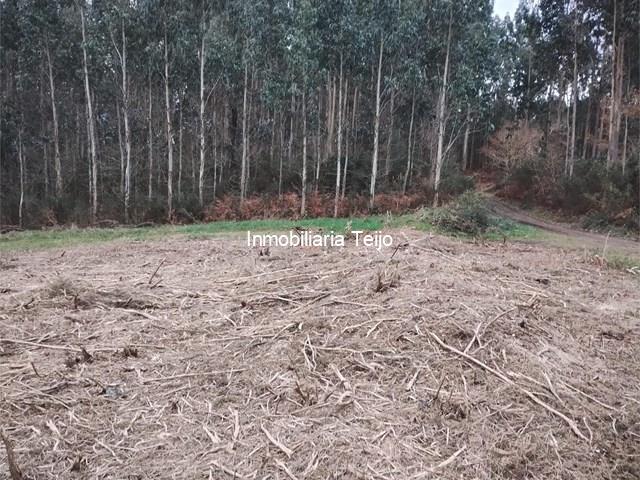 SE VENDE TERRENO EN ANCA - Neda