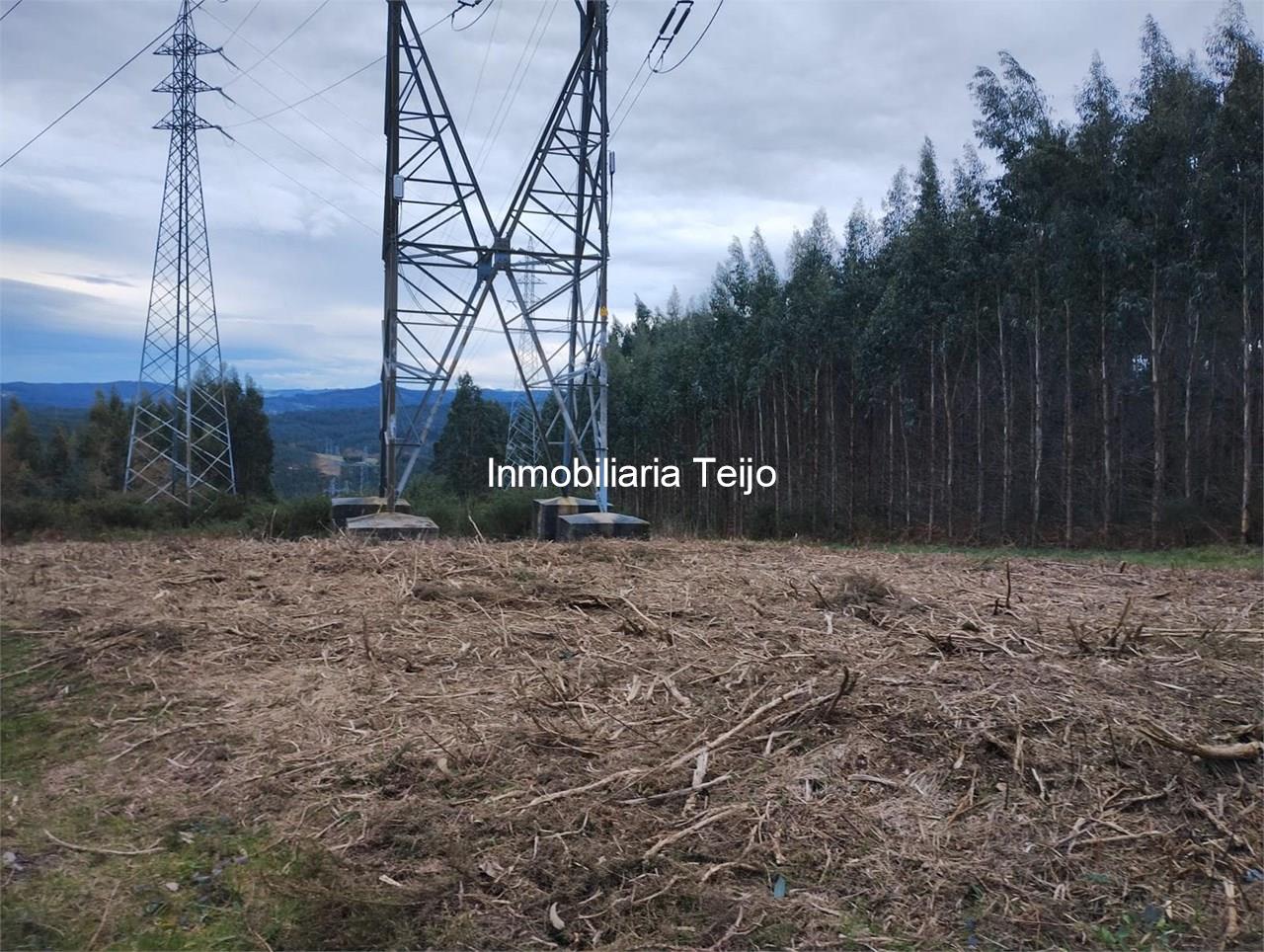 Foto 2 SE VENDE TERRENO EN ANCA