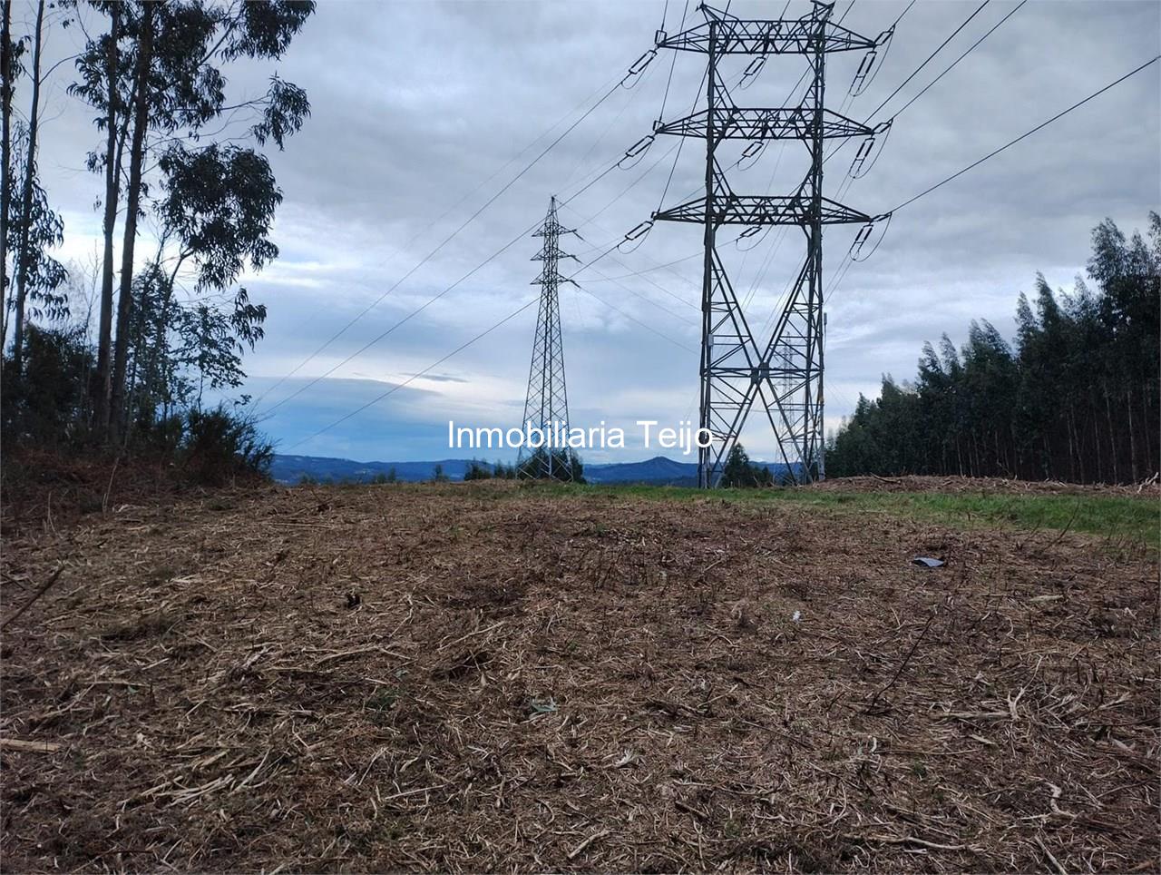 Foto 5 SE VENDE TERRENO EN ANCA