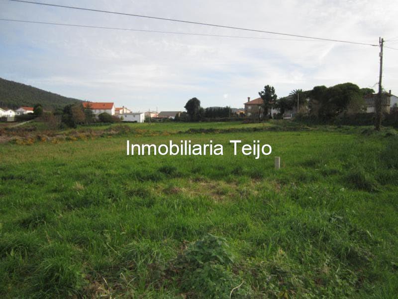 Foto 2 SE VENDE TERRENO EN COVAS