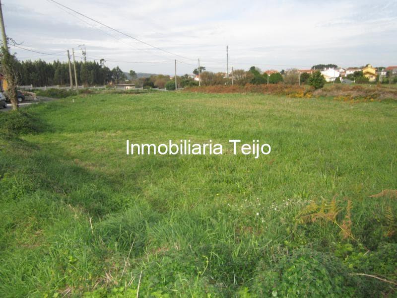 Foto 3 SE VENDE TERRENO EN COVAS