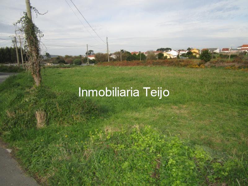 Foto 4 SE VENDE TERRENO EN COVAS