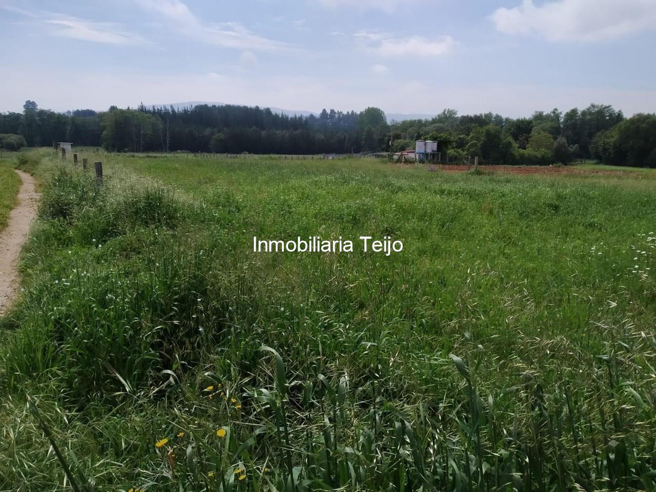 Foto 4 SE VENDE TERRENO EN FERROL