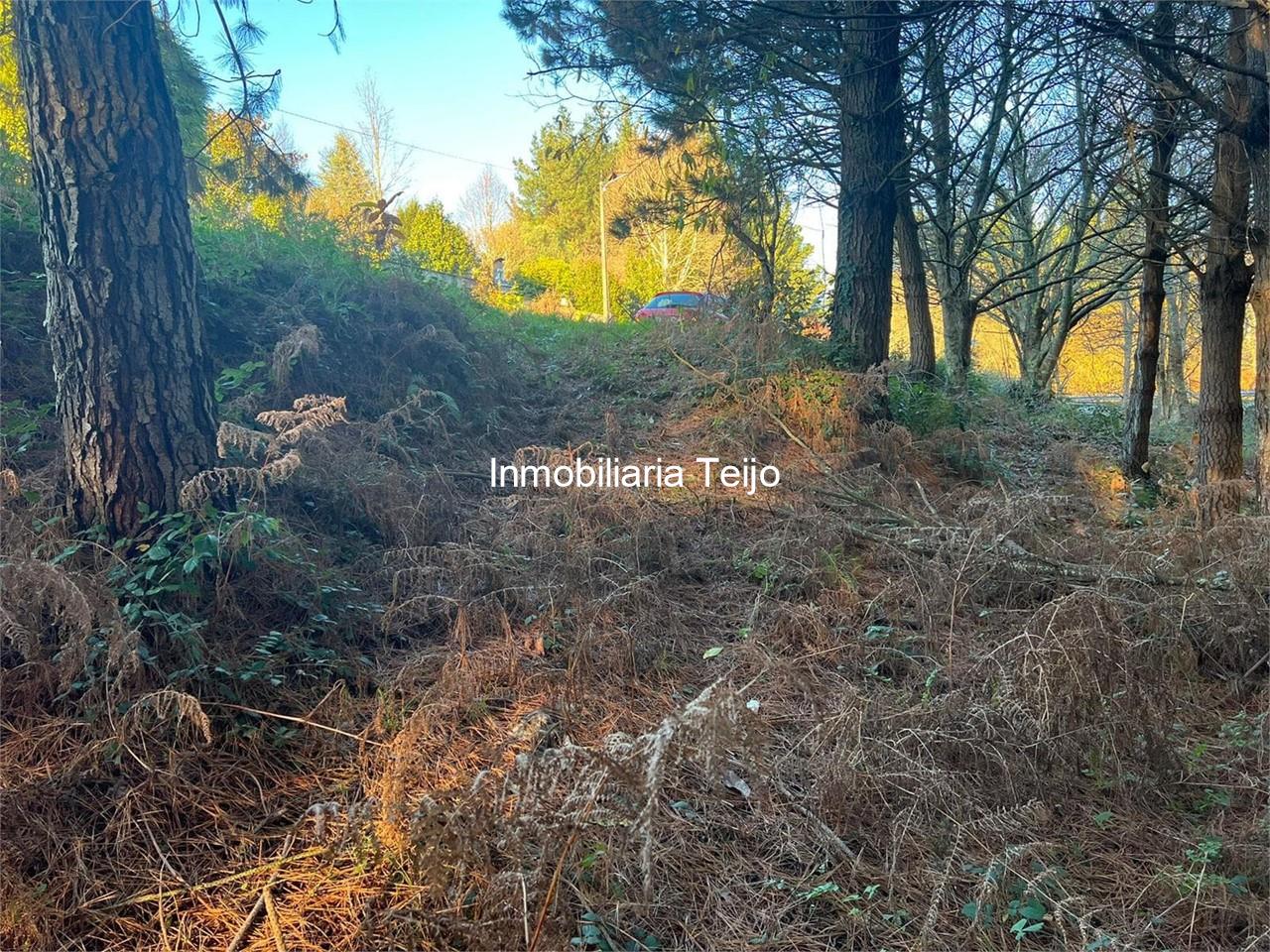 Foto 10 SE VENDE TERRENO EN NEDA