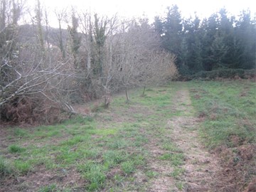 SE VENDE TERRENO NO EDIFICABLE EN NEDA