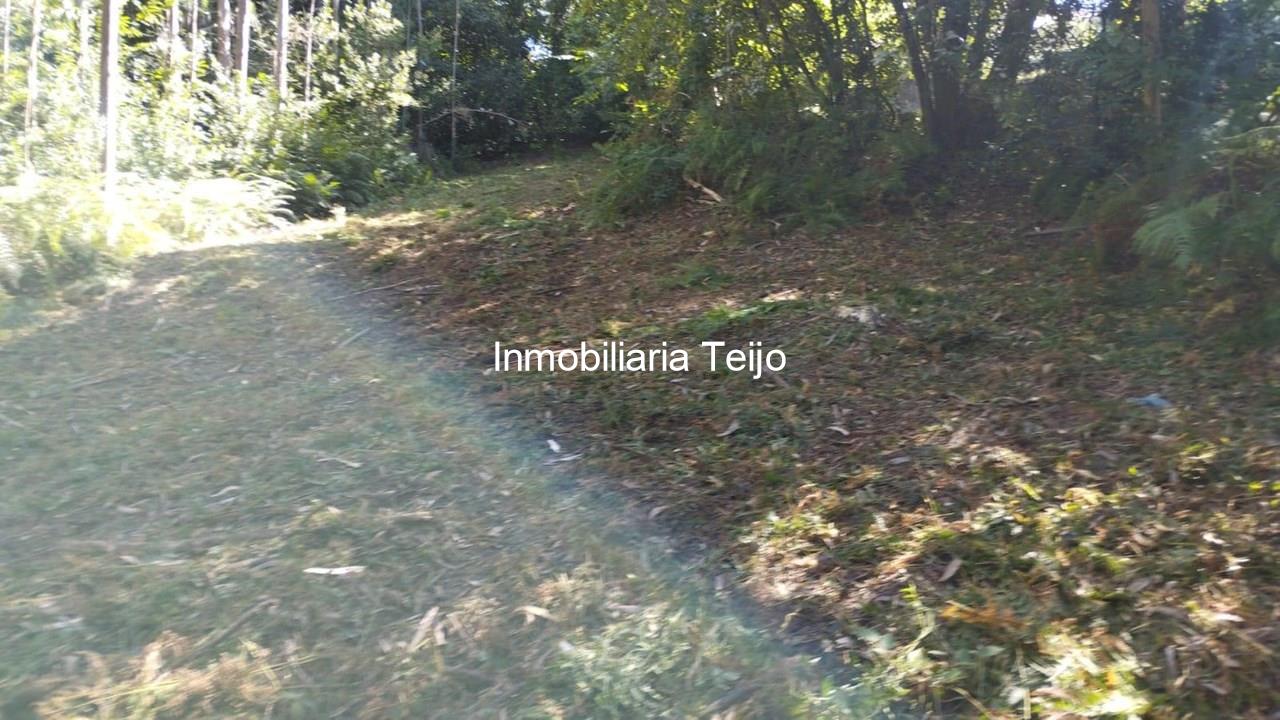 Foto 10 SE VENDE TERRENO RÚSTICO CON ACCESO DE 300 M2 EN ANCA
