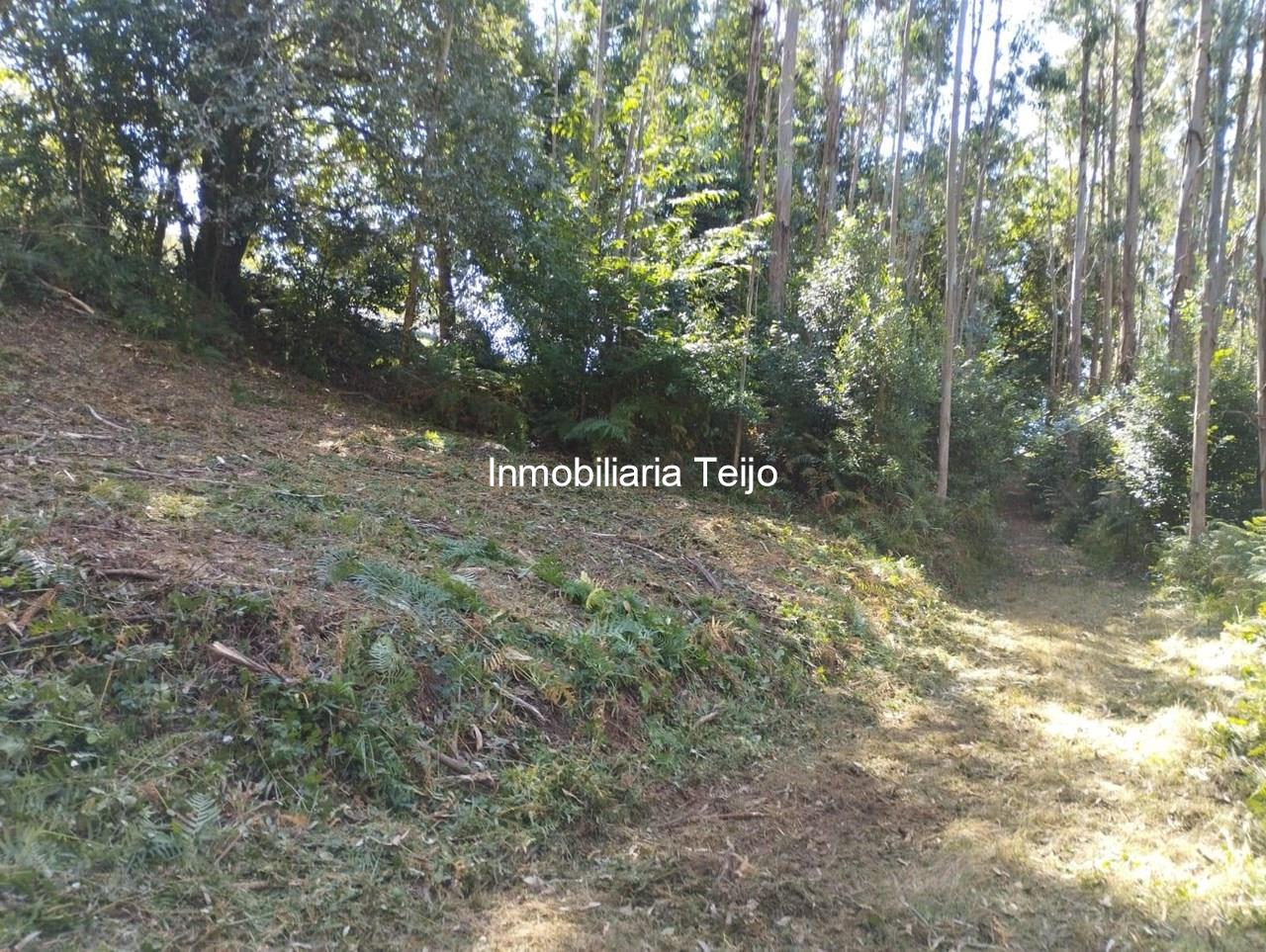 Foto 1 SE VENDE TERRENO RÚSTICO CON ACCESO DE 300 M2 EN ANCA