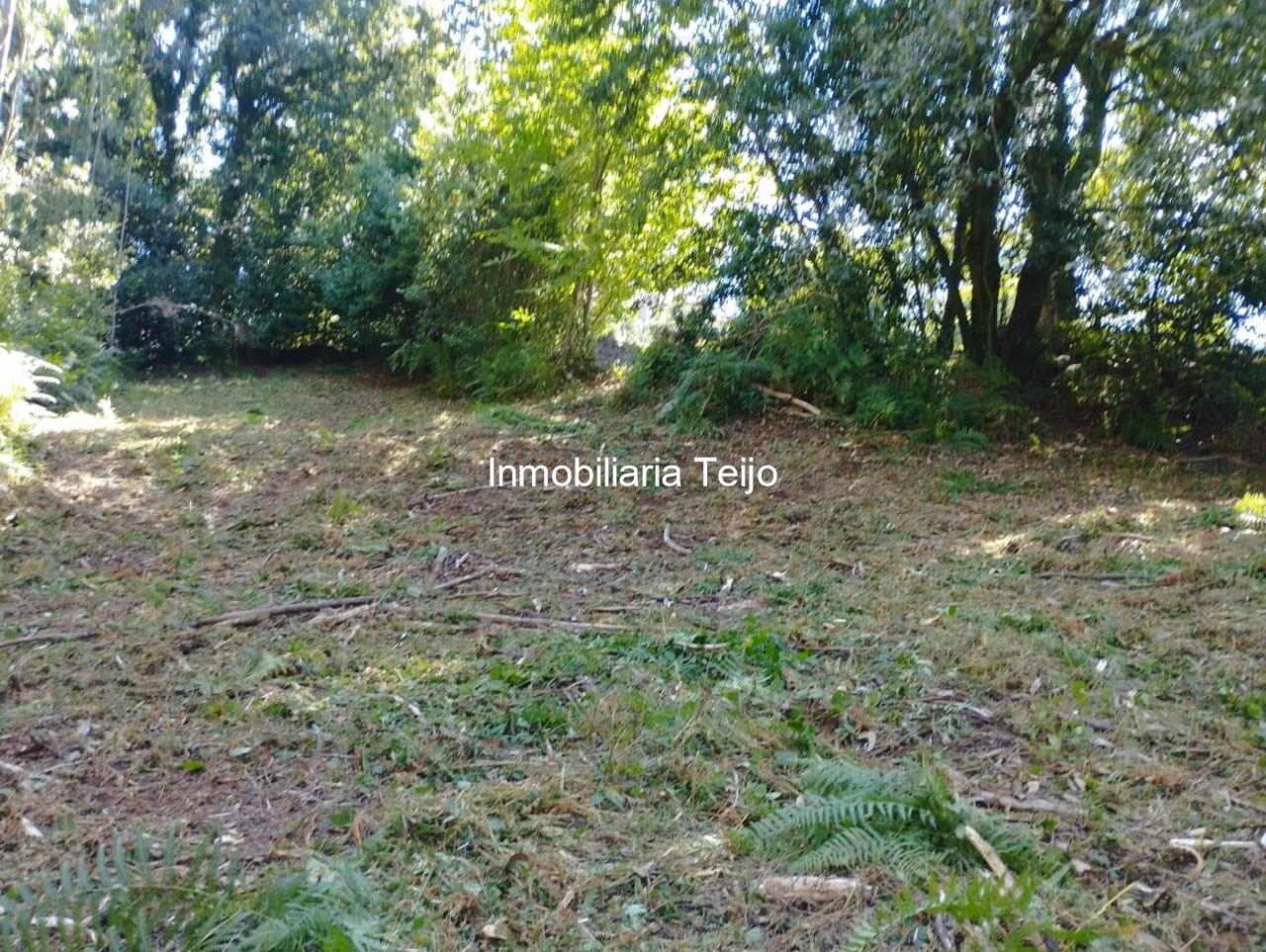 Foto 2 SE VENDE TERRENO RÚSTICO CON ACCESO DE 300 M2 EN ANCA
