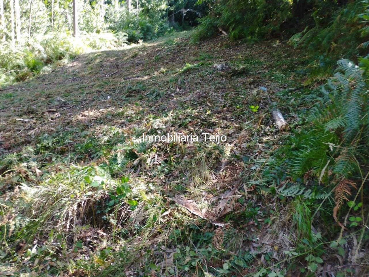 Foto 3 SE VENDE TERRENO RÚSTICO CON ACCESO DE 300 M2 EN ANCA