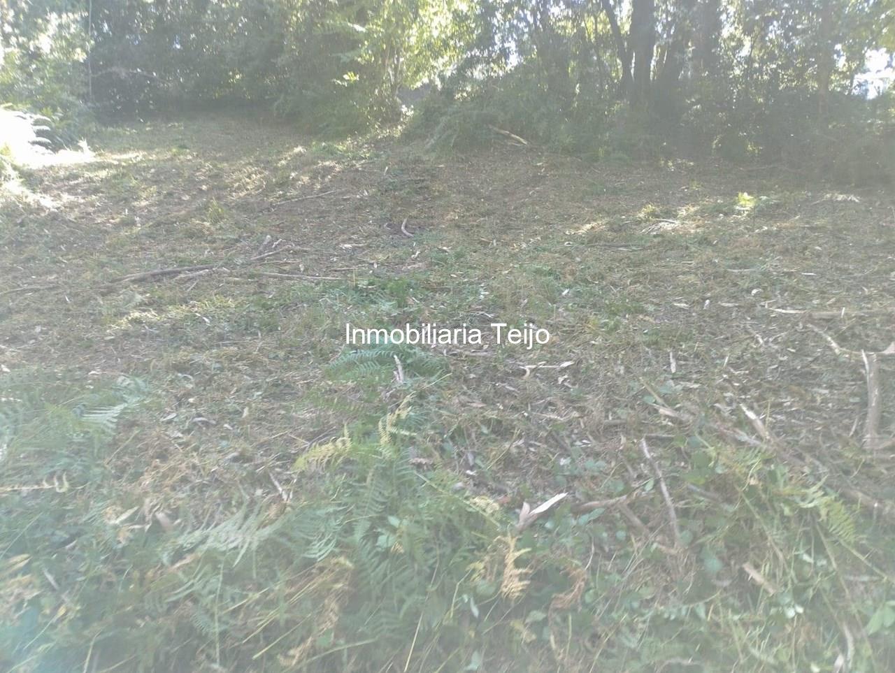 Foto 4 SE VENDE TERRENO RÚSTICO CON ACCESO DE 300 M2 EN ANCA