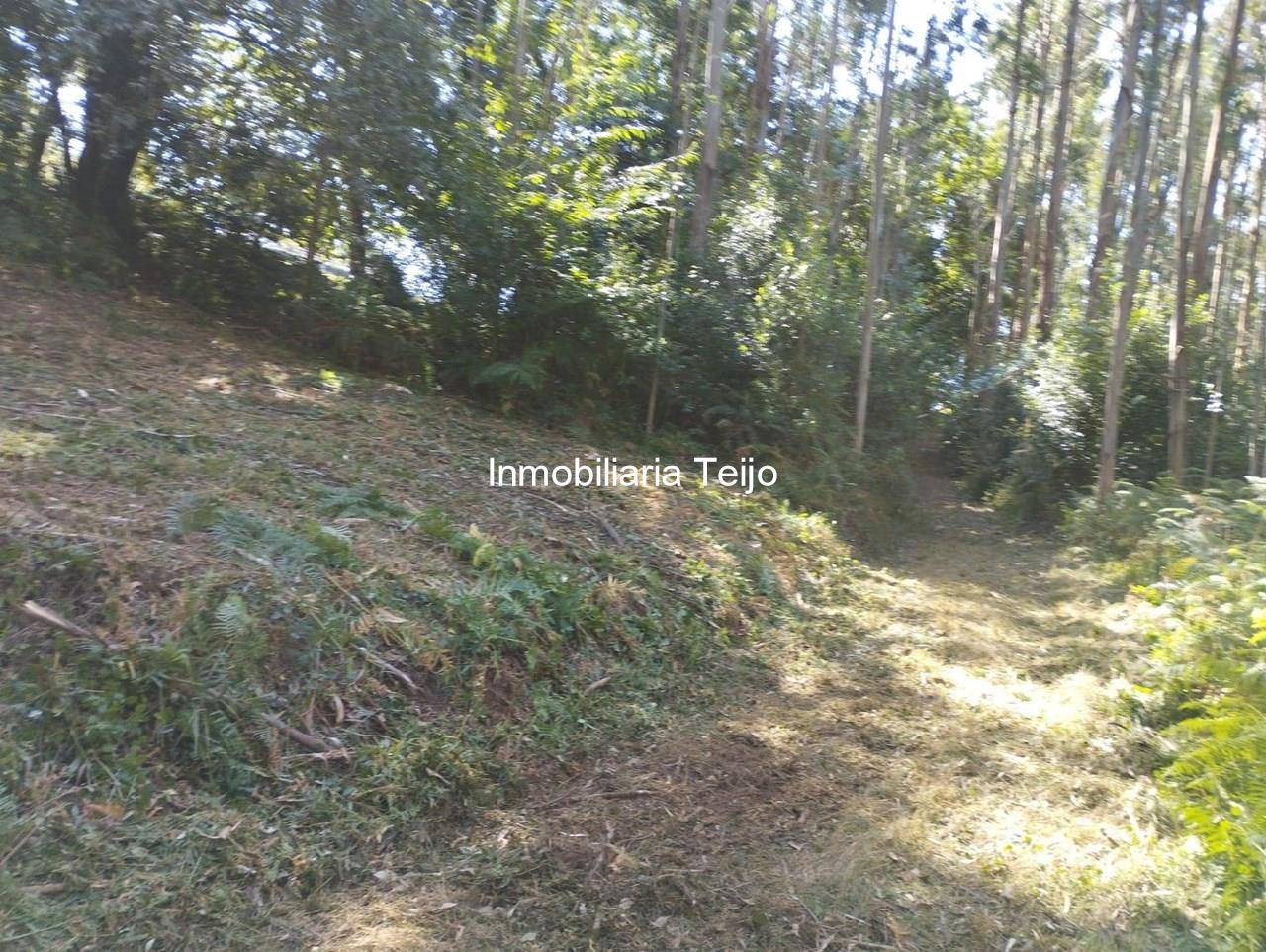 Foto 5 SE VENDE TERRENO RÚSTICO CON ACCESO DE 300 M2 EN ANCA