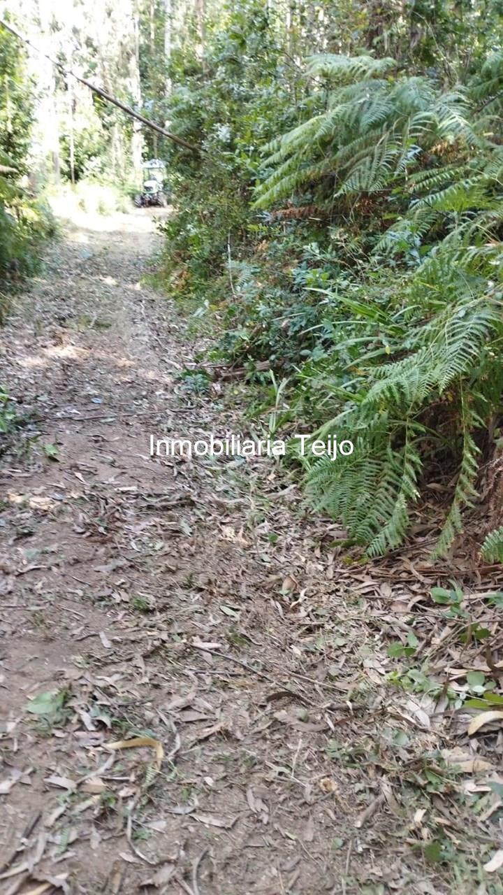 Foto 6 SE VENDE TERRENO RÚSTICO CON ACCESO DE 300 M2 EN ANCA