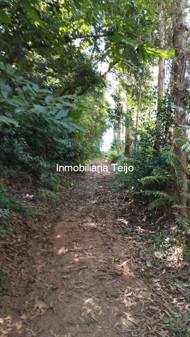 Foto 7 SE VENDE TERRENO RÚSTICO CON ACCESO DE 300 M2 EN ANCA