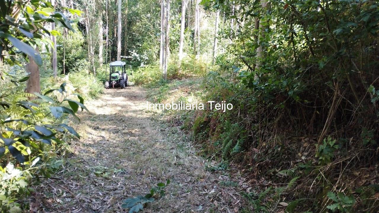 Foto 8 SE VENDE TERRENO RÚSTICO CON ACCESO DE 300 M2 EN ANCA