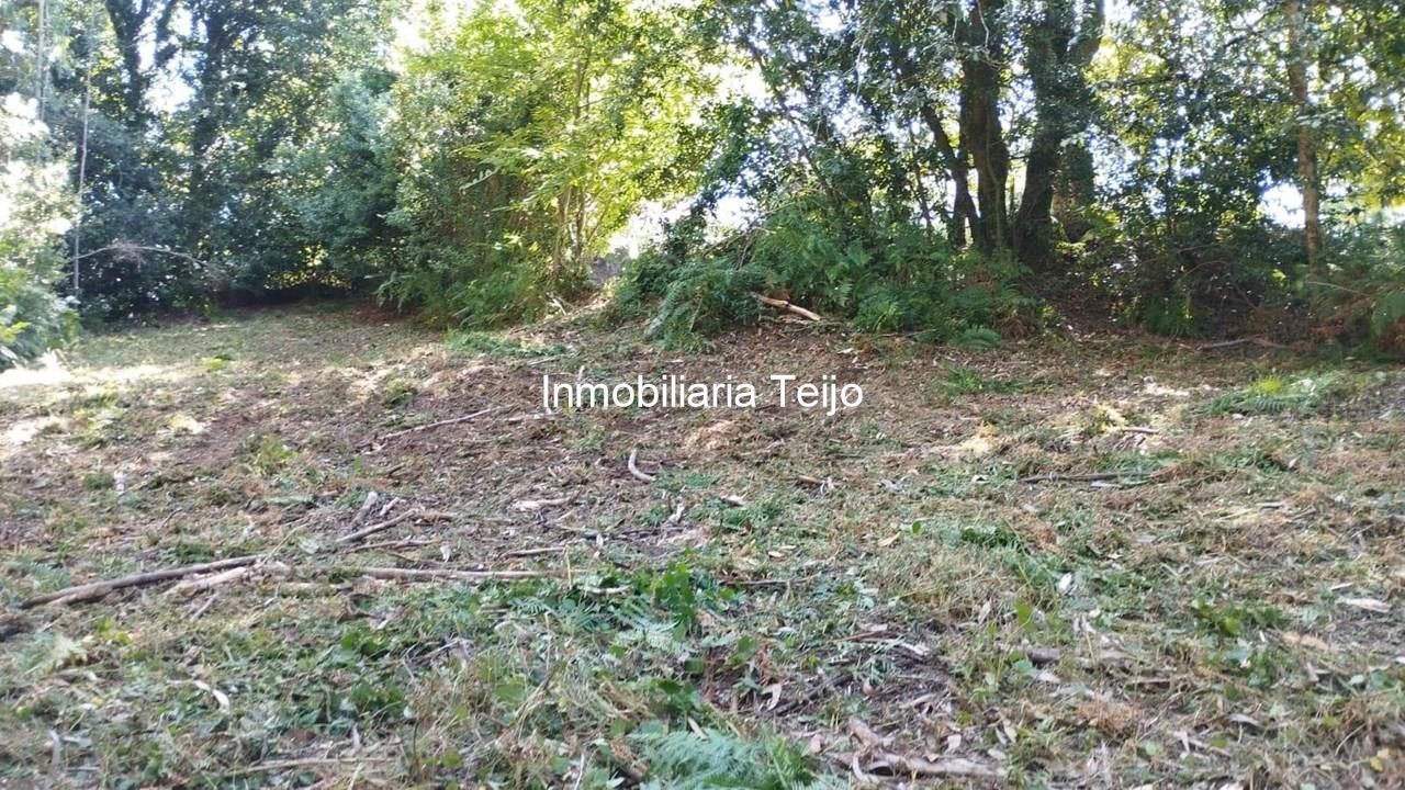 Foto 9 SE VENDE TERRENO RÚSTICO CON ACCESO DE 300 M2 EN ANCA