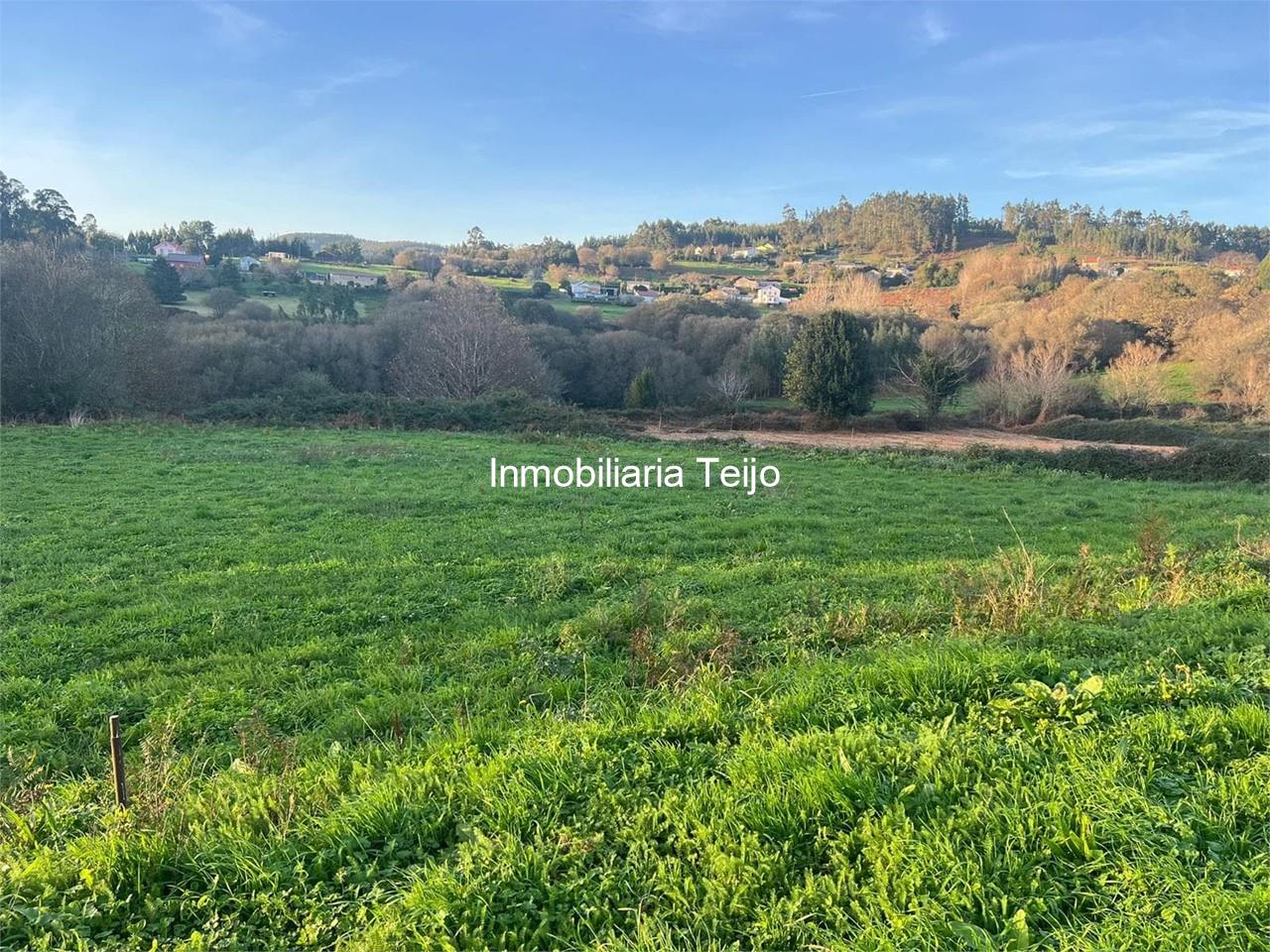 Foto 4 SE VENDE TERRENO RÚSTICO EN NEDA