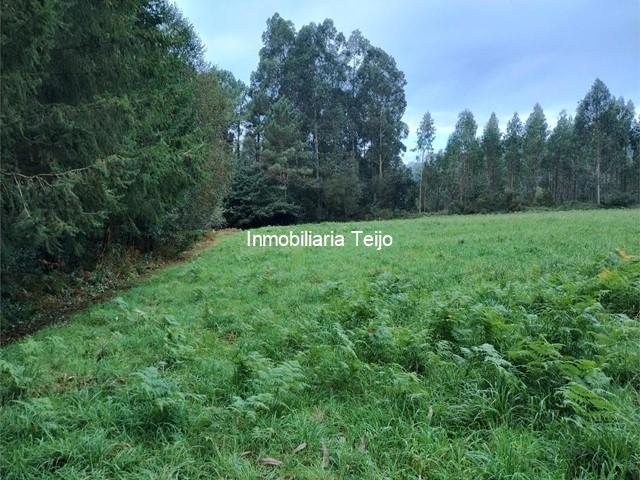 SE VENDE TERRENO RUSTICO EN NEDA