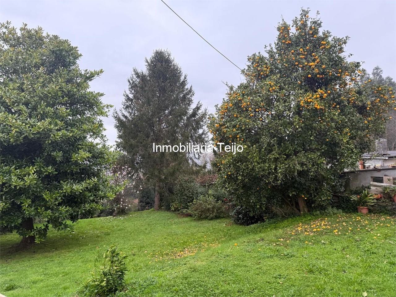 Foto 1 SE VENDEN 4 VIVIENDAS Y DOS SOLARES EN BARALLOBRE