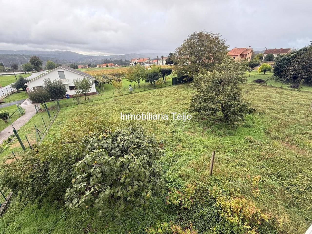 Foto 26 SE VENDEN DOS CASAS CON FINCA EN PEDROSO