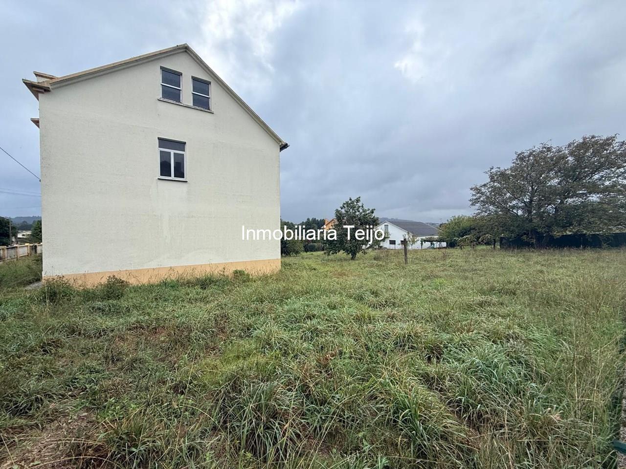 Foto 2 SE VENDEN DOS CASAS CON FINCA EN PEDROSO