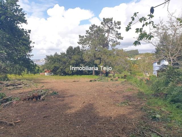 SE VENDEN DOS FINCAS RÚSTICAS EN MUGARDOS