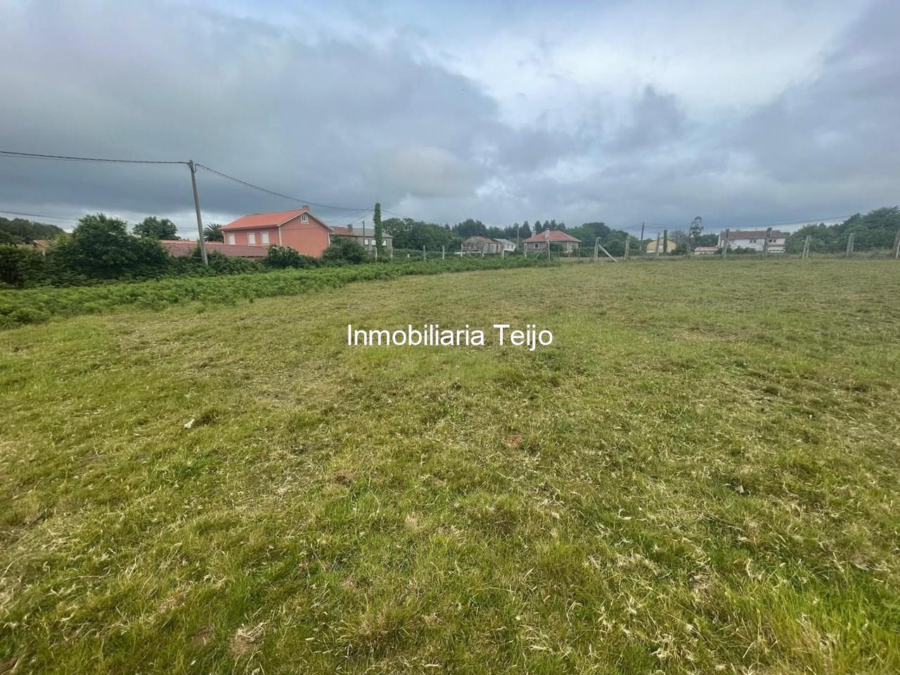 Foto 1 SE VENDEN SOLARES EDIFICABLES EN EL VAL 