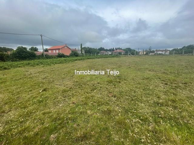 SE VENDEN SOLARES EDIFICABLES EN EL VAL  - Narón