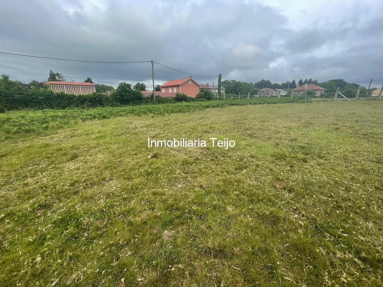 Foto 4 SE VENDEN SOLARES EDIFICABLES EN EL VAL 